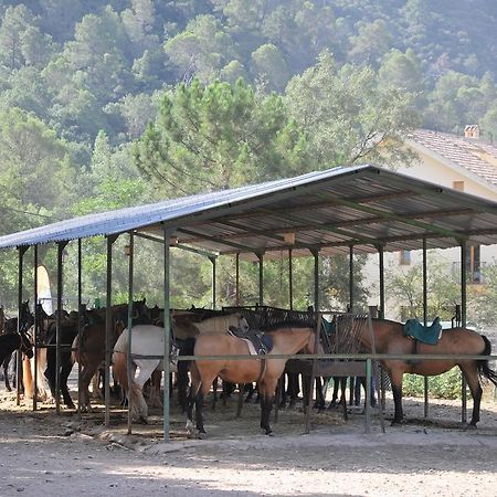 Alojamientos Rural Tejerina Arroyo Frio Exterior foto