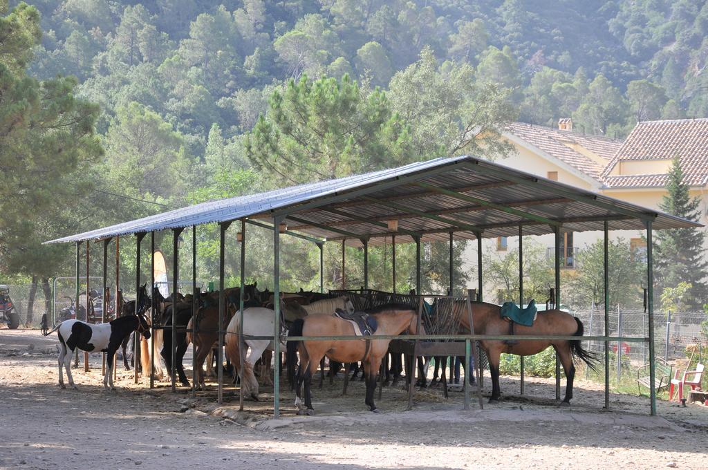 Alojamientos Rural Tejerina Arroyo Frio Exterior foto
